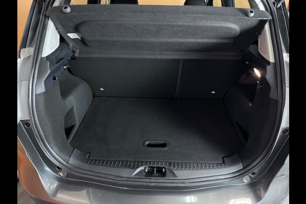 Ford B-MAX 1.0 EcoBoost Titanium navi | lmv | clima | metallic