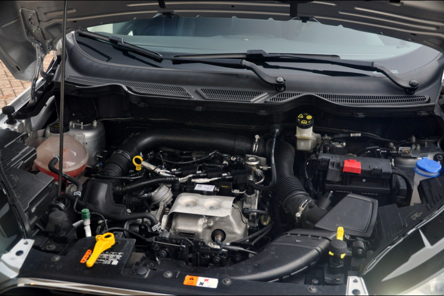 Ford EcoSport 1.0 EcoBoost 125 PK Titanium | Navigatie | Trekhaak | All season |  Nette staat!