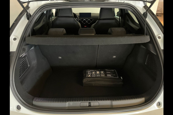 DS DS 3 Crossback 1.2 PureTech Performance Line AIRCO NAVI CRUISE ELEK RAMEN CENT VERG ZWARTE VELGEN PRIVACYGLAS ZEER NETTE AUTO
