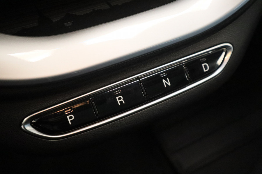 Fiat 500 Icon 42 kWh Navigatie Panoramadak PDC