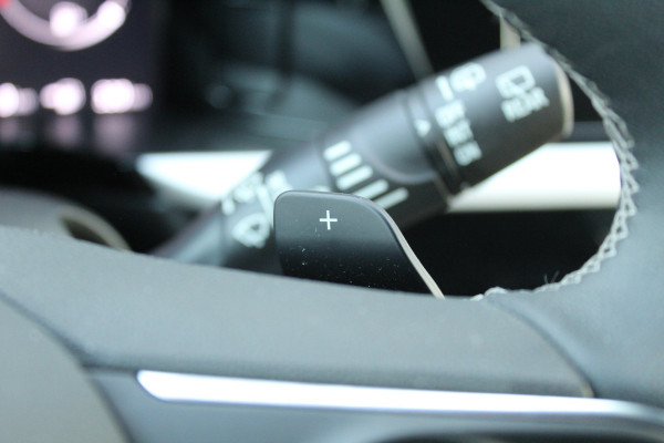 Opel Grandland 1.6 Turbo Plug-In Hybrid GS Line | Adaptieve cruise | Navigatie | Winterpack | AGR |