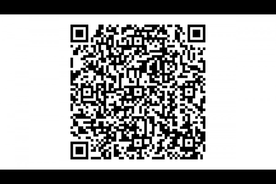 Land Rover Discovery Sport P300e S Black Pack stuur/stoel verw/360° camera trekhaak