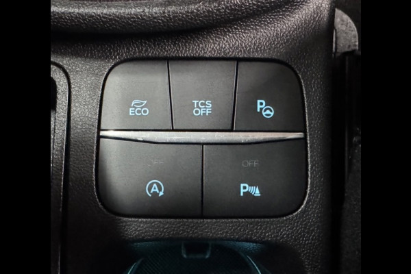 Ford Fiesta 1.0 EcoBoost Vignale 125 PK WINTER PAKKET LEDER CAMERA PARKEERHULP