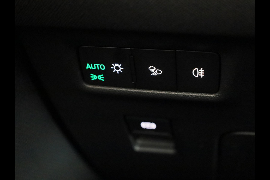 Škoda Kodiaq Business Edition Plus PHEV 1.5 TSI 204 pk 6 versn. DSG | Light & view | Getint glas | Trekhaak wegklapbaar