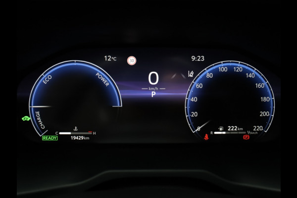 Toyota RAV4 2.5 Hybrid AWD Executive Premium | Bearlock | JBL | Trekhaak