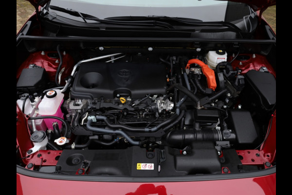 Toyota RAV4 2.5 Hybrid AWD Executive Premium | Bearlock | JBL | Trekhaak