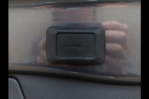 Toyota RAV4 2.5 Hybrid Executive | 360 Camera | JBL Audio | Trekhaak