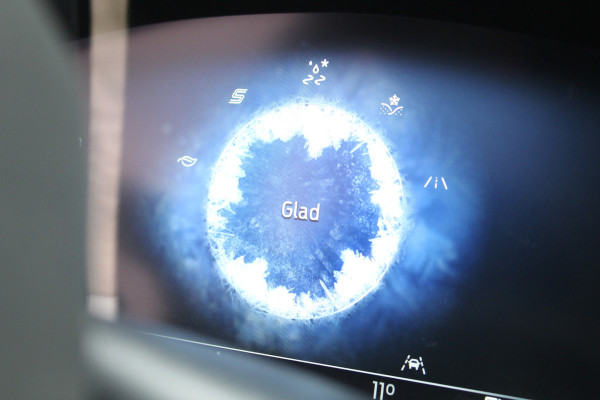 Ford Kuga 1.5 EcoBoost 150PK ST-Line | Trekhaak | Head-up | Adaptieve Cruise | Winterpack