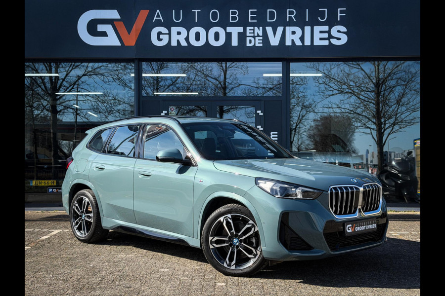 BMW X1 xDrive25e M-Sport|Panorama|HUD|LED