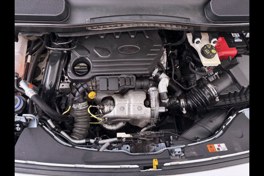 Ford Transit Connect 1.5TDCI 100PK Trekhaak Kast Cruise Airco PDC-v+a EURO6 Sidebars L1H1 Trend HP Betonplex Vloer Wandbetimmering Kasteninbouw Schuifdeur Achterdeuren Origineel Nederlandse Auto Laadvermogen 844kg !