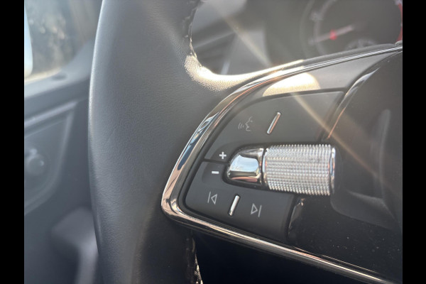 Škoda Fabia 1.0 TSI Business Edition | Bellen voor bezichtiging| 42.000 km | Navigatie | L.M. velgen.