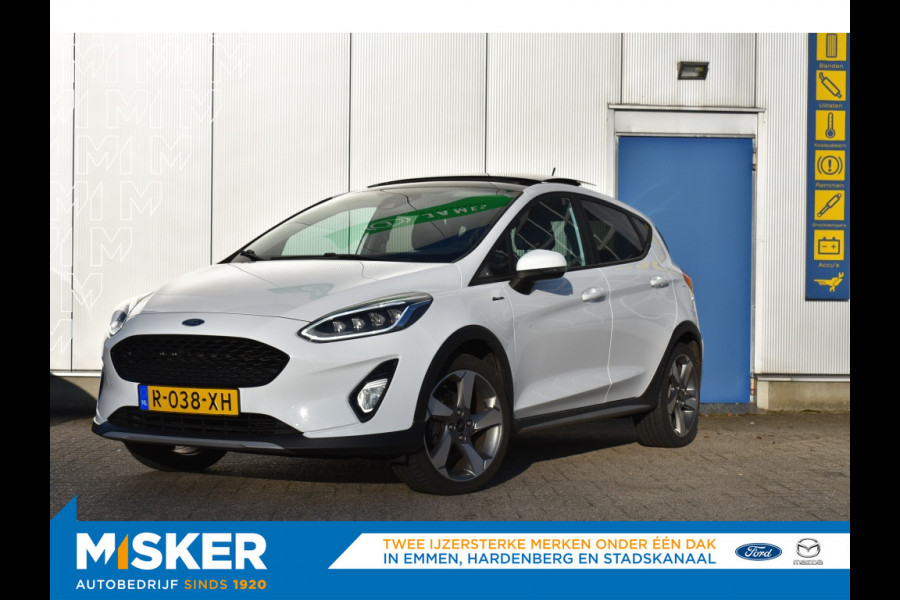 Ford Fiesta 1.1 ACTIVE Pano dak, Winter pack, TH
