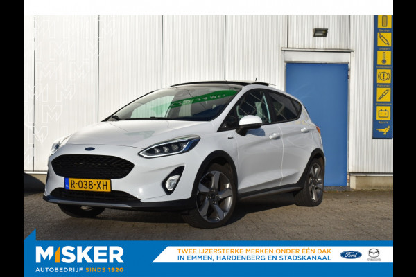 Ford Fiesta 1.1 ACTIVE Pano dak, Winter pack, TH