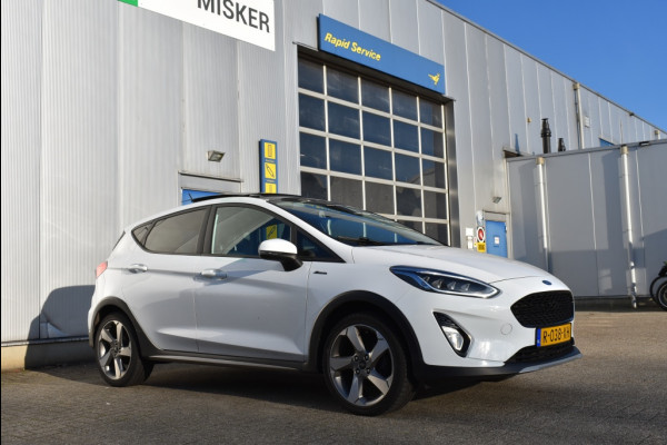 Ford Fiesta 1.1 ACTIVE Pano dak, Winter pack, TH