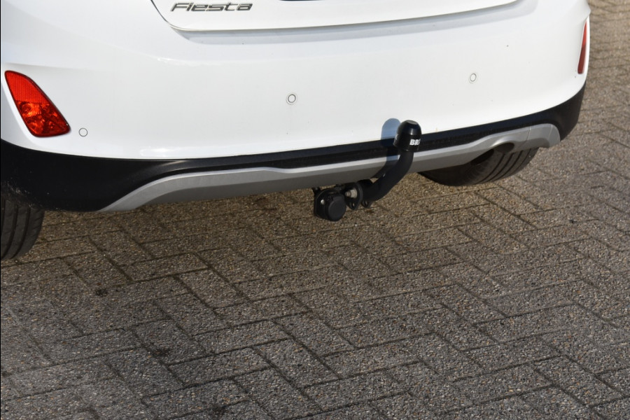 Ford Fiesta 1.1 ACTIVE Pano dak, Winter pack, TH