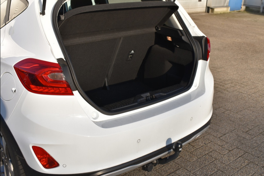 Ford Fiesta 1.1 ACTIVE Pano dak, Winter pack, TH