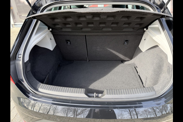 Seat Leon 1.4 EcoTSI FR Business Intense / PDC v+a  / Carplay / Cruise C. / Winter Pakket / Navi