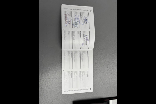 Kia Stonic 1.0 T-GDi ExecutiveLine / Camera / Navigatie