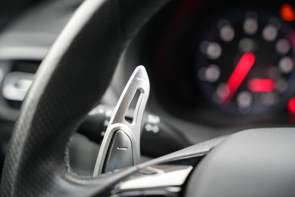 Hyundai i30 Fastback 2.0 N Panoramadak Schaalstoelen Stoelverw.