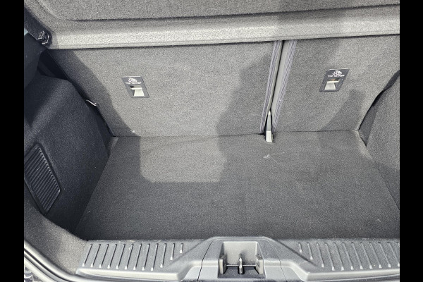 Ford Fiesta 1.0 EcoBoost ST-Line 78000 km | Navigatie | Winterpack | Lane assist | 17'' velgen | Vooruitverwarming etc.