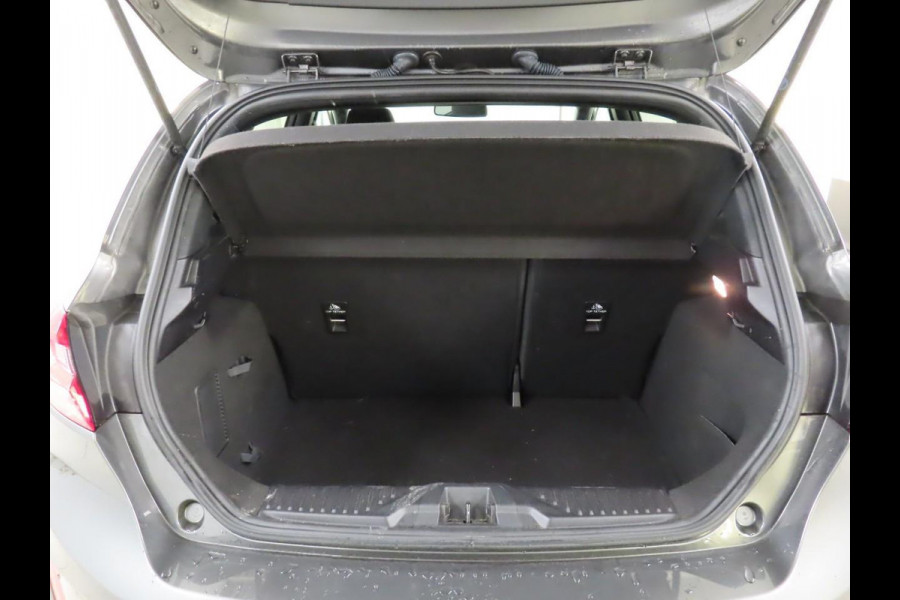 Ford Fiesta 1.0 EcoBoost ST-Line 100pk | Panoramadak | Voorruitverwarming | Apple Carplay, Android auto | Climate control