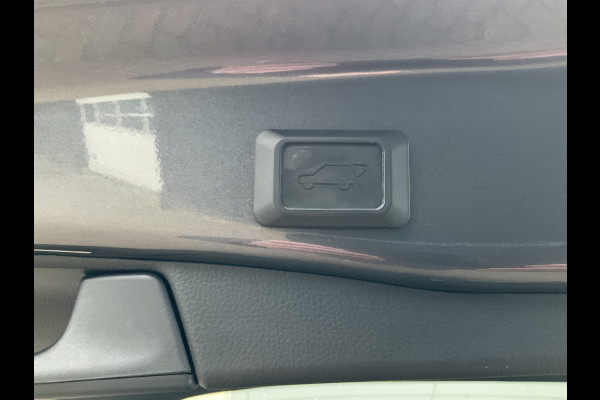 Toyota RAV4 2.5 Hybrid AWD Plug-in Leer Stoel/Stuurverw Carplay Trekhaak Keyless PHEV