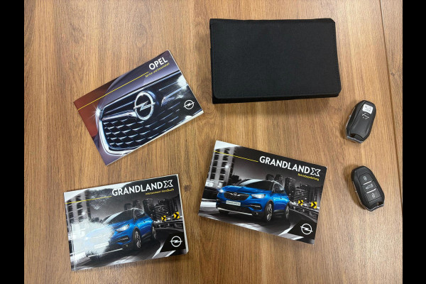 Opel Grandland X 1.2 Turbo Innovation*Winter-pakket*Camera*Electr-Klep*Cruise-Control*Trekhaak*Navi*PDC*