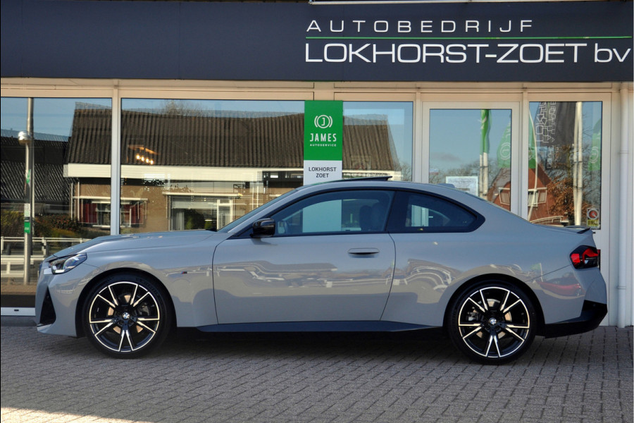 BMW 2 Serie Coupé 220i High Executive | Brooklyn Grey | Schuifdak