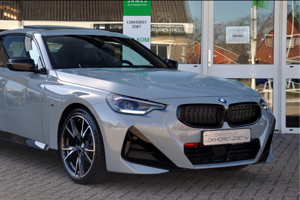 BMW 2 Serie Coupé 220i High Executive | Brooklyn Grey | Schuifdak