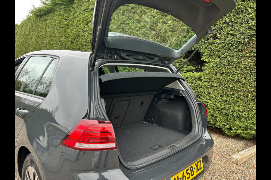 Volkswagen e-Golf E-DITION PDC AdaptiveCruise AllSeason