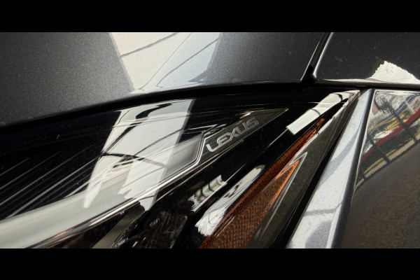 Lexus UX UX 250H LUXURY LINE /trekhaak/acc/leder/keyless/camera/all wheater banden
