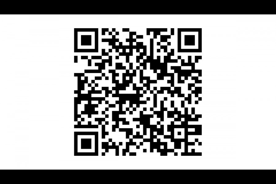 Lexus UX UX 250H LUXURY LINE /trekhaak/acc/leder/keyless/camera/all wheater banden