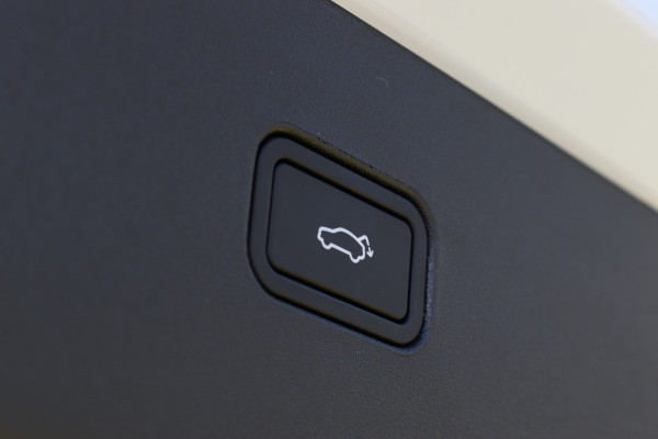 Volvo EX30 Extended Range Plus 69 kWh | Blis | Camera Achter | Elektr. Achterklep | 19'' | PDC V+A