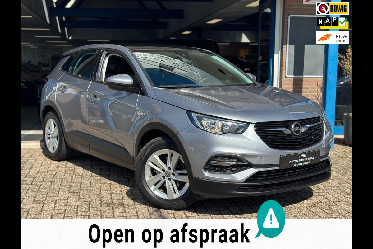 Opel Grandland X 1.2 Turbo Edition 2019 NAVI CAMREA LM NAP!