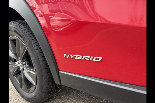 Lexus UX 250h Business Line VAN: 24.900,- VOOR: 22.877,- UW LENTEVOORDEEL: 2.023,- | RIJKLAARPRIJS incl. 12mnd BOVAG GARANTIE