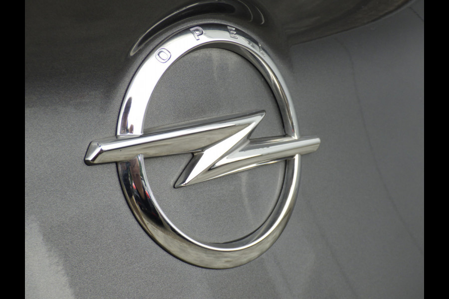 Opel Grandland X 1.2 AUT Turbo Innovation, Camera, Cruise, Navi!