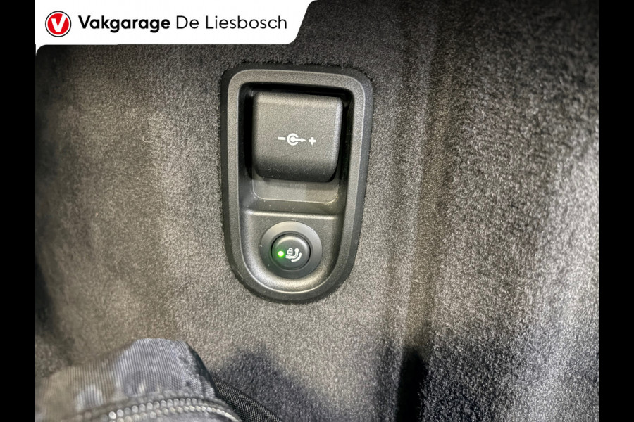 BMW 5 Serie Touring 530e Business Edition Plus / trekhaak / Leder / pdc / 360 camera