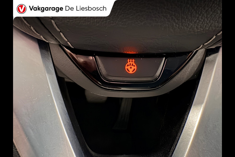 BMW 5 Serie Touring 530e Business Edition Plus / trekhaak / Leder / pdc / 360 camera