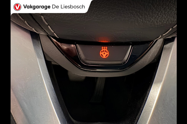 BMW 5 Serie Touring 530e Business Edition Plus / trekhaak / Leder / pdc / 360 camera