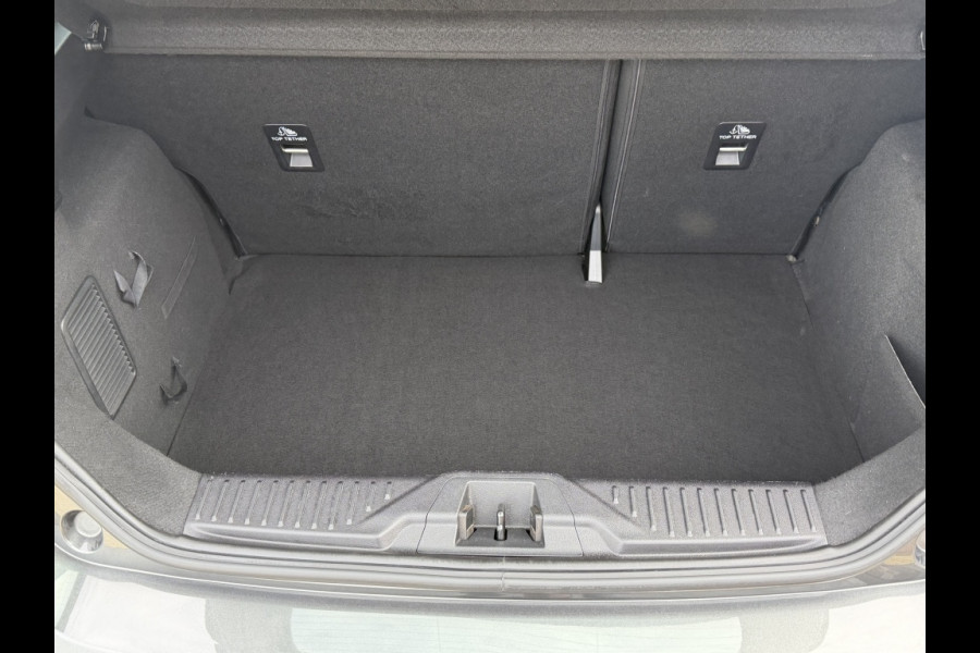 Ford Fiesta 100pk EcoB. Titanium NIEUW GELEVERD/CAMERA/WINTERPACK/DAB/ADAPTI