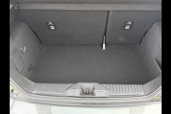 Ford Fiesta 100pk EcoB. Titanium NIEUW GELEVERD/CAMERA/WINTERPACK/DAB/ADAPTI