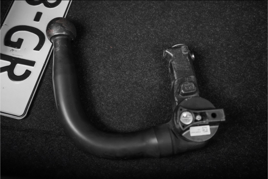 BMW X2 sDrive18i Automaat Sportstoel Stoel & Stuurverw Trekhaak