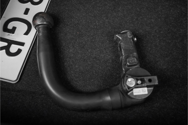 BMW X2 sDrive18i Automaat Sportstoel Stoel & Stuurverw Trekhaak