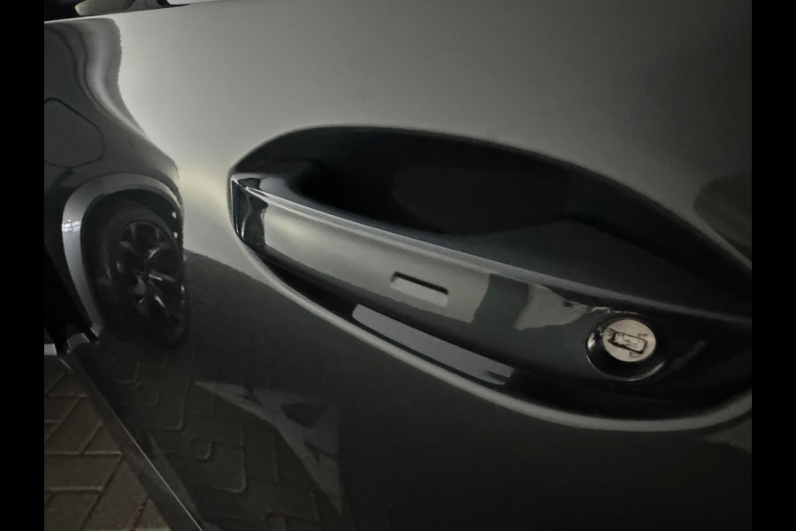 CUPRA Formentor 1.4 e-Hybrid VZ Copper Edition Pano|Memory