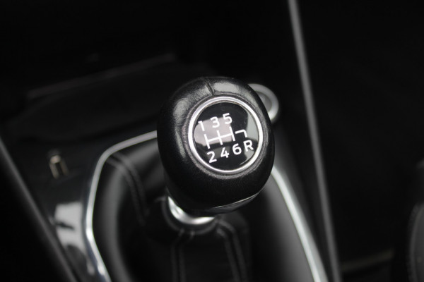 Ford Fiesta 1.0 EcoBoost Active First Edition Panoramadak / Parkeerhulp achter / Navigatie / DAB / ACC / Keyless