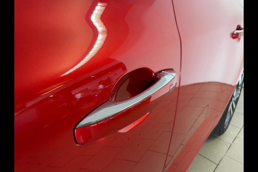 Renault Mégane Estate 1.3 TCe 140 Techno AIRCO NAVI CRUISE ELEK RAMEN CENT VERG VELGEN PRIVACYGLAS ZEER NETTE AUTO