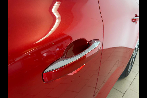 Renault Mégane Estate 1.3 TCe 140 Techno AIRCO NAVI CRUISE ELEK RAMEN CENT VERG VELGEN PRIVACYGLAS ZEER NETTE AUTO