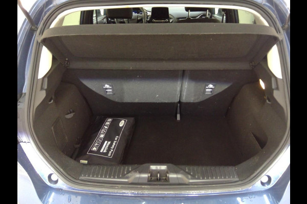 Ford Fiesta 1.0 EcoBoost Titanium | 101.000 KM | Winterpack | Navigatie | Licht metalen velgen | WORDT VERWACHT!