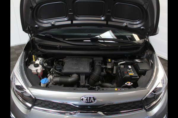 Kia Picanto 1.0 DPi DynamicPlusLine CLIMATE | CARPLAY | DAB | NAVI | LMV15 | CRUISE | LED | PDCA | CAMERA