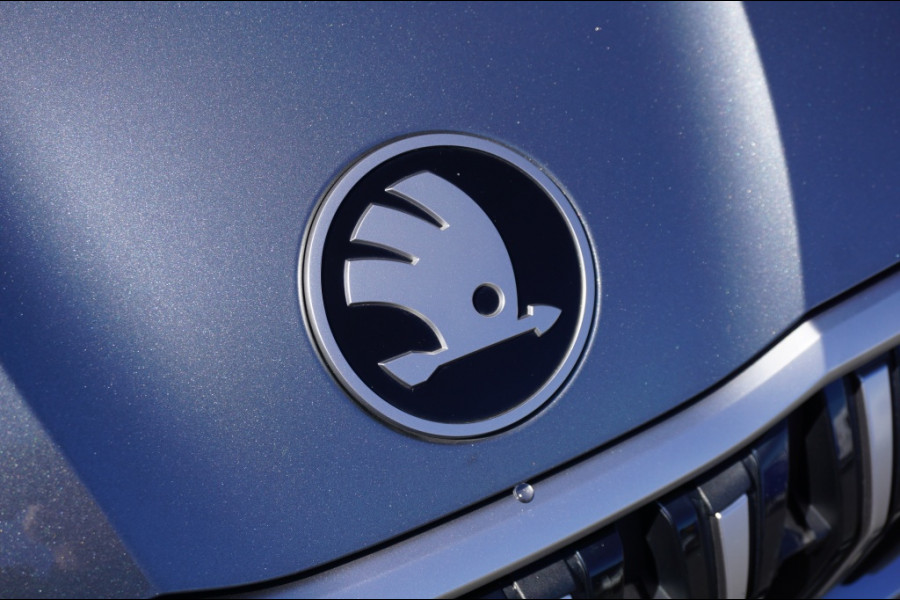 Škoda Kodiaq 204PK PHEV Business AUTOM. | EL CLIMATE | WINTERPACK | 360°